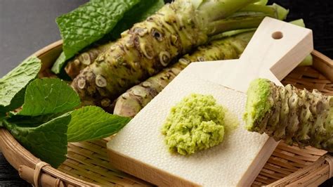 wassabi|Wasabi .